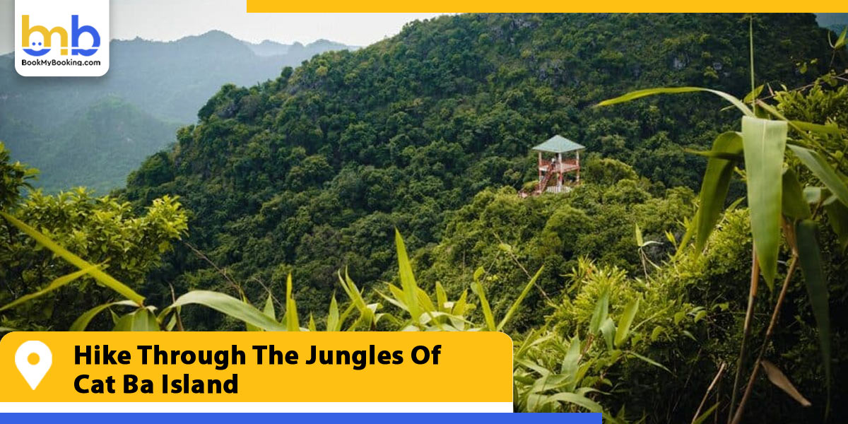 hike through the jungles of cat ba island from bookmybooking