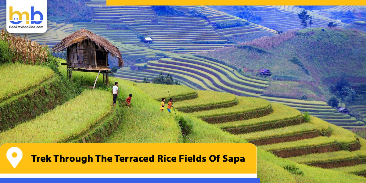 trek through the terraced rice fields of sapa from bookmybooking